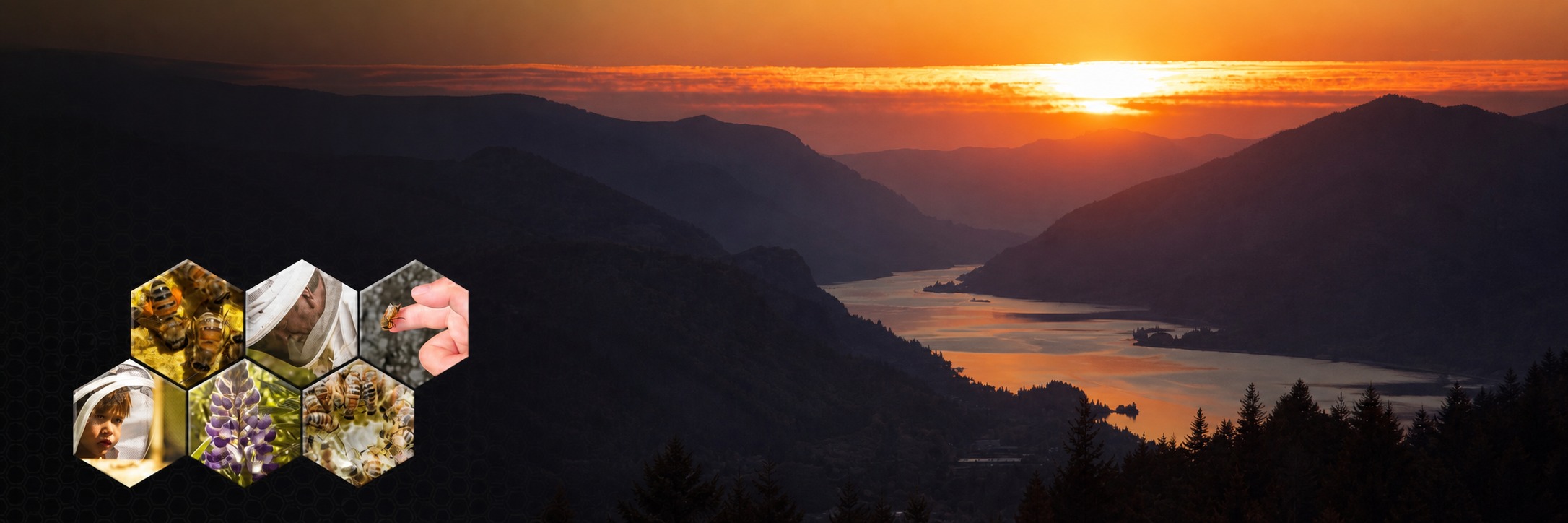 Columbia River Gorge sunset with beekeeping collage